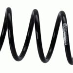 Пружина задняя Raiso (Швеция) Ford Fusion