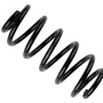 Пружина передняя Raiso (Швеция) Audi A4 (B7)