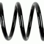 Пружина задняя Raiso (Швеция) Fiat Scudo