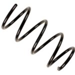 Пружина передняя Raiso (Швеция) BMW 5 (E61)