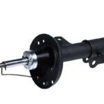 Амортизатор передний правый Raiso (Швеция) Chevrolet Cobalt II