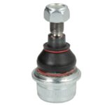 Шаровая опора передняя (нижн.перед) Raiso (Швеция) MB CLS C219