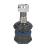 Шаровая опора передняя (нижн.внутр) Raiso (Швеция) MB E-class W211