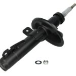 Амортизатор передний Raiso (Швеция) Форд Мондео 2