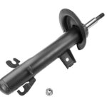 Амортизатор передний правый Raiso (Швеция) Mini Cooper R52