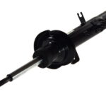 Амортизатор передний правый Raiso (Швеция) Citroen C3