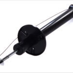 Амортизатор задний Raiso (Швеция)Volkswagen Jetta II