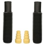 Пыльник+отбойник задн. аморт. Raiso (Швеция) Honda Accord VII