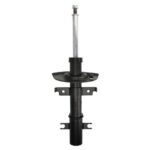 Амортизатор передний STATIC Renault Laguna II