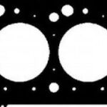 613431510 VICTOR REINZ прокладка