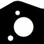 542420 ELRING прокладка