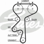 5461XS GATES ремень грм