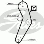5473XS GATES ремень грм