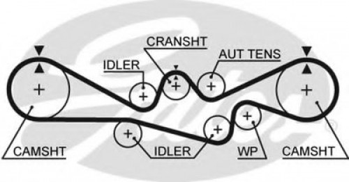 5537XS GATES ремень грм