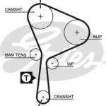 5552XS GATES ремень грм