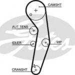 5569XS GATES пас грм з довжиною кола понад 60 см