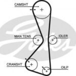 5609XS GATES ремень грм