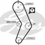 5662XS GATES пас грм з довжиною кола понад 60 см