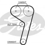 5669XS GATES ремень грм
