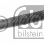 06666 FEBI BILSTEIN болт головки цилидра