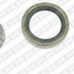 R15114 SNR комплект подшипника ступицы колеса