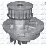 D210 DOLZ водяной насос