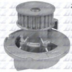 O160 DOLZ водяной насос