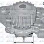 T136 DOLZ водяной насос