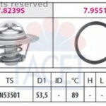 78239 FACET термостат