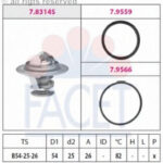 78314 FACET термостат