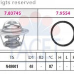 78374 FACET термостат