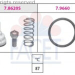 78620 FACET термостат