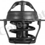 TH489887J CALORSTAT BY VERNET термостат