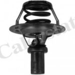 TH528491J CALORSTAT BY VERNET термостат