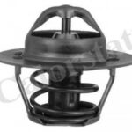 TH595588J CALORSTAT BY VERNET термостат