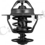 TH631985J CALORSTAT BY VERNET термостат