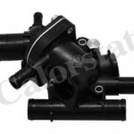 TH632089J CALORSTAT BY VERNET термостат