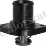 TH648889J CALORSTAT BY VERNET термостат