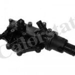 TH697183J CALORSTAT BY VERNET термостат