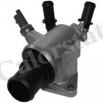 TH697888J CALORSTAT BY VERNET термостат