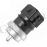 WS2694 CALORSTAT BY VERNET датчик