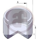 D025225 AUTOFREN SEINSA поршень