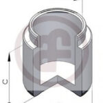 D025128 AUTOFREN SEINSA поршень