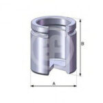 D02520 AUTOFREN SEINSA поршень