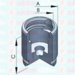 D025257 AUTOFREN SEINSA поршень