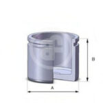 D02546 AUTOFREN SEINSA поршень