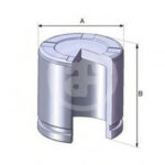 D02550 AUTOFREN SEINSA поршень