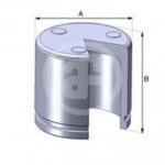 D02551 AUTOFREN SEINSA поршень