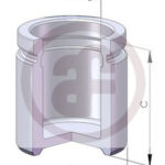 D02559 AUTOFREN SEINSA поршень