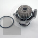 CP3176 BGA водяной насос